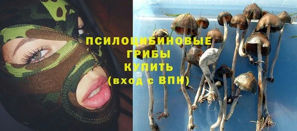 спайс Гусиноозёрск