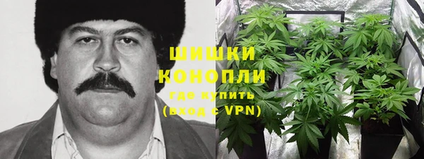 индика Горнозаводск