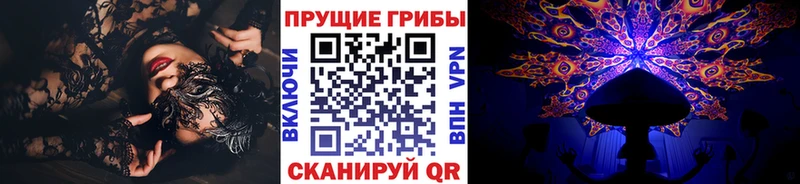 Купить  Нелидово  Галлюциногенные грибы мицелий 